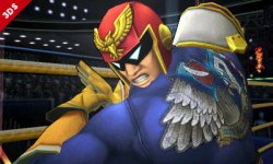 Super Smash Bros Falcon (18)
