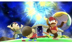Super Smash Bros. for Wii U 21.10.2014 (135)