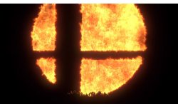 Super Smash Bros head 2