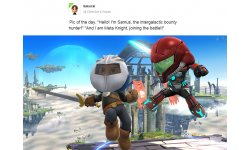 Super Smash Bros Mii