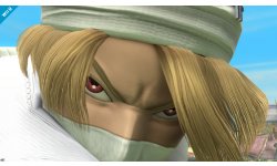 Super Smash Bros. Sheik 09.04 (6)