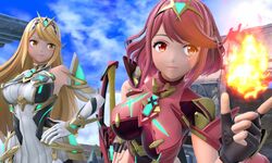 Super Smash Bros Ultimate 02 04 03 2021