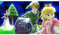 Super Smash Bros Zelda 26.12.2013 (10)