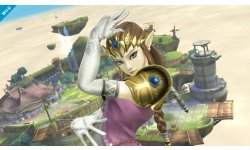 Super Smash Bros Zelda 26.12.2013 (8)