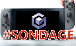 Switch GameCube sondage images (1)