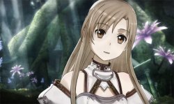Sword Art Online Hollow Fragment head