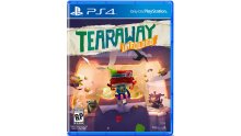 Tearaway-Unfolded_12-06-2015_jaquette