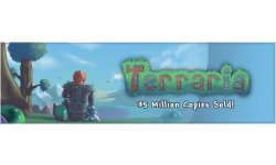 Terraria 35 million