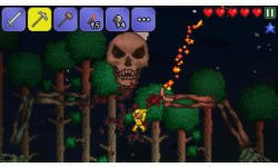 terraria screenshot ios iphone (2)