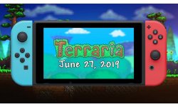 Terraria switch627