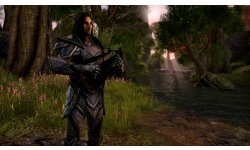 TESO Elder Scrolls Online Barde