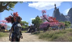 TESO Elder Scrolls Online Image Clint008 (10)