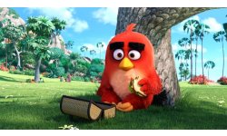 The Angry Birds Movie pic