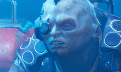 The Ascent head