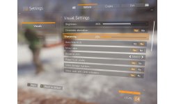 The Division options visuelles