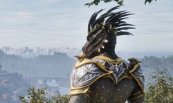 The Elder Scrolls IV Oblivion Remastered 01 22 04 2025