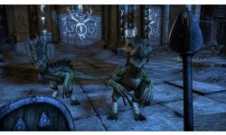 The Elder Scrolls Online 11 12 2013 screenshot 2