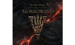 the elder scrolls online morrowind 28