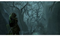 The Elder Scrolls Online PlayStation 4 Pro Announcement