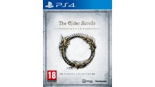 The Elder Scrolls Online Tamriel Edition jaquette PS4
