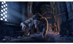 The Elder Scrolls Online Wolfhunter 01 10 08 2018
