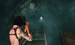 The Evil Within The Consequence head