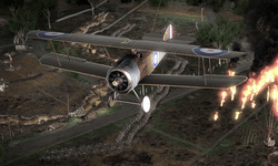 The Great War Western Front