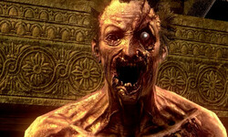 THE HOUSE OF THE DEAD 2 Remake test (3)