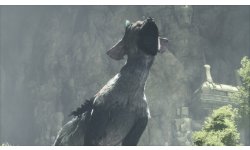 The Last Guardian 27 05 2016 screenshot 9