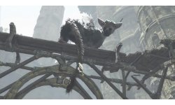 The Last Guardian (2)