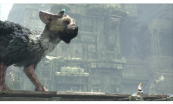 The Last Guardian (7)