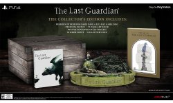 The Last Guardian collector E3 2016