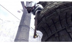 The Last Guardian images (1)