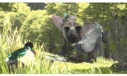 The Last Guardian images captures (5)