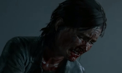The Last of Us Part II vignette 06 05 2020
