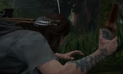 The Last of Us Part II vignette 20 05 2020