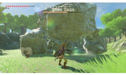 The Legend of Zelda Breath of The Wild 13 06 2017 Les Épreuves Légendaires screenshot (2)
