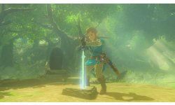 The Legend of Zelda Breath of The Wild 13 06 2017 Les Épreuves Légendaires screenshot (3)
