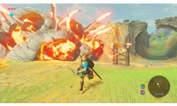 The Legend of Zelda Breath of the Wild images (24)