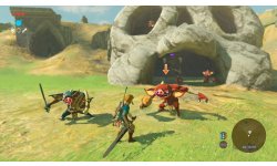 The Legend of Zelda Breath of the Wild images (29)
