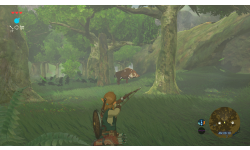 The Legend of Zelda Breath of the Wild images (2)