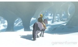 The Legend of Zelda breath of the Wild images (2)