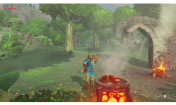 The Legend of Zelda Breath of the Wild images (3)