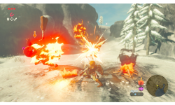 The Legend of Zelda Breath of the Wild images (7)
