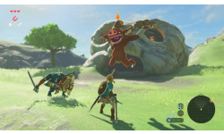 The Legend of Zelda Breath of the Wild images (8)