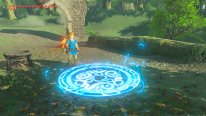 The Legend of Zelda Breath of The Wild images DLC (11)