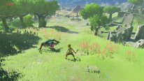 The Legend of Zelda Breath of The Wild images DLC (14)