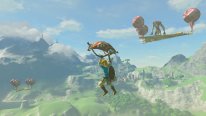 The Legend of Zelda Breath of The Wild images DLC (1)