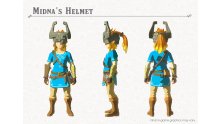 The Legend of Zelda Breath of The Wild images DLC (4)
