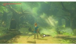 The Legend of Zelda Breath of The Wild images DLC (9)